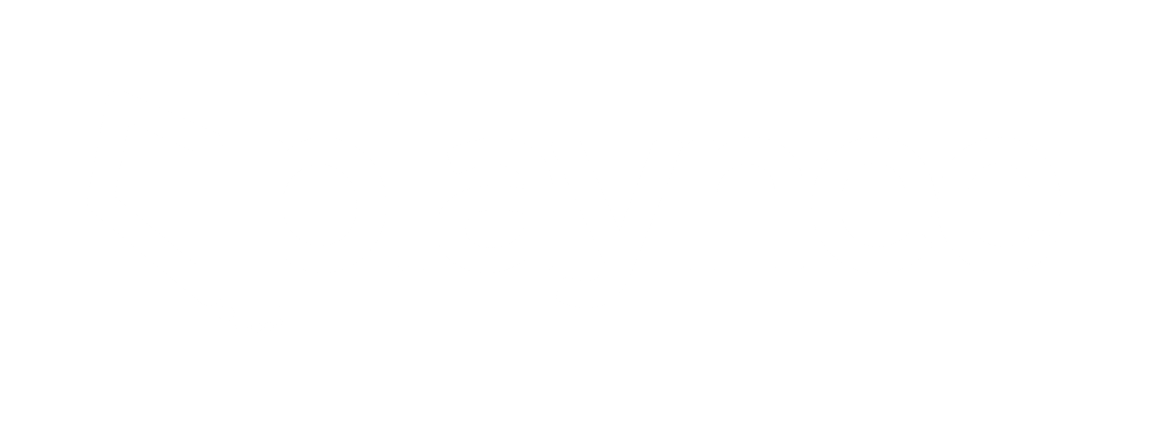 logo Playnee